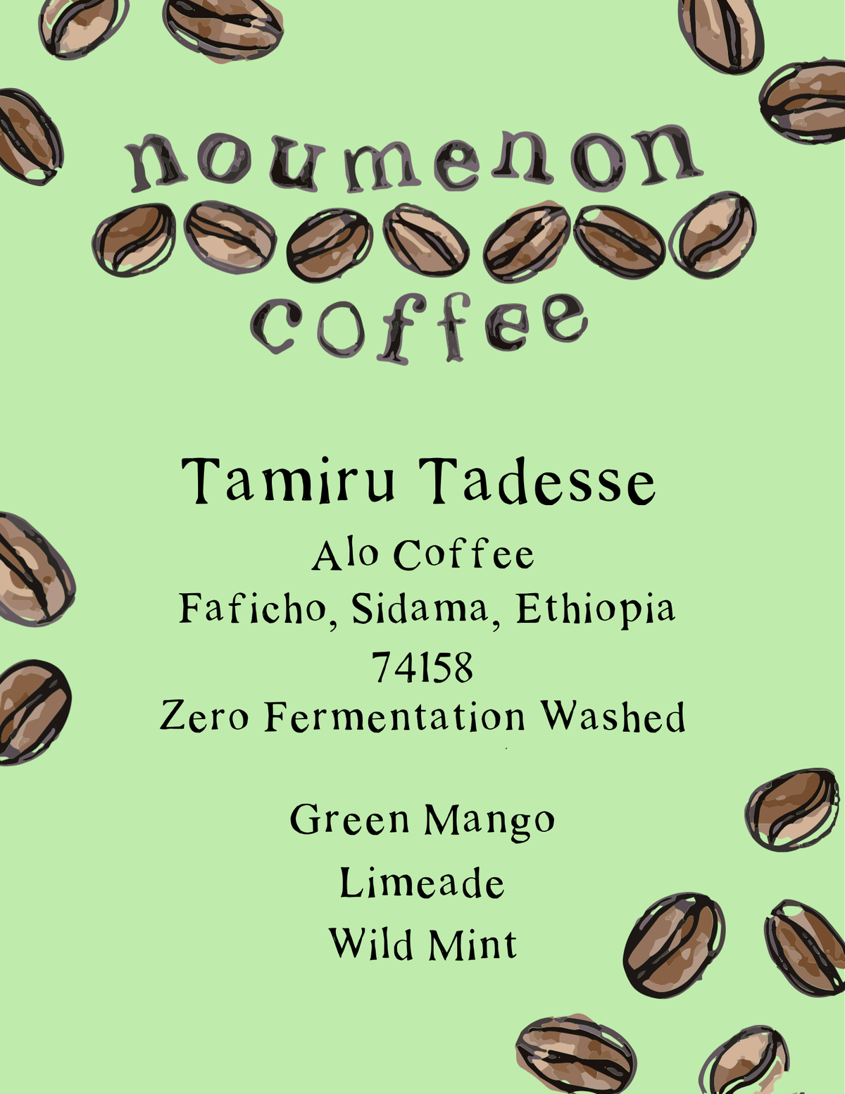 Ethiopia - Alo Faficho - Zero Fermentation Washed
