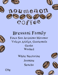 Guatemala - Bressani Family Gesha - Washed Process