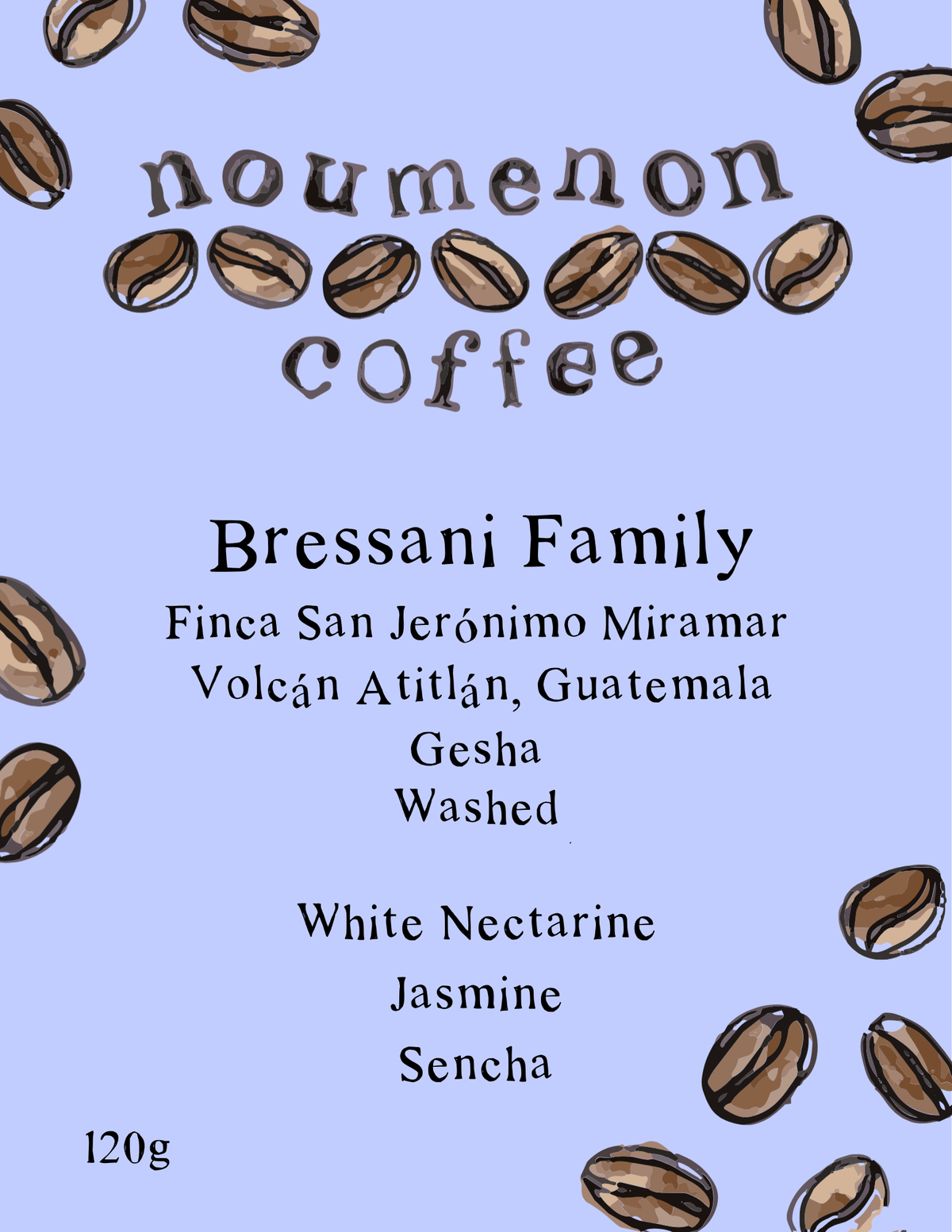 Guatemala - Bressani Family Gesha - Washed Process