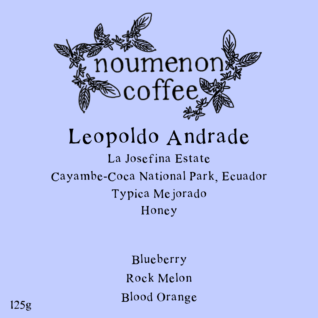 Ecuador - La Josefina Estate Typica Mejorado - Honey Process