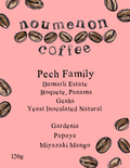 Panama - Pech Family Gesha - Yeast Inoculated Natural Process