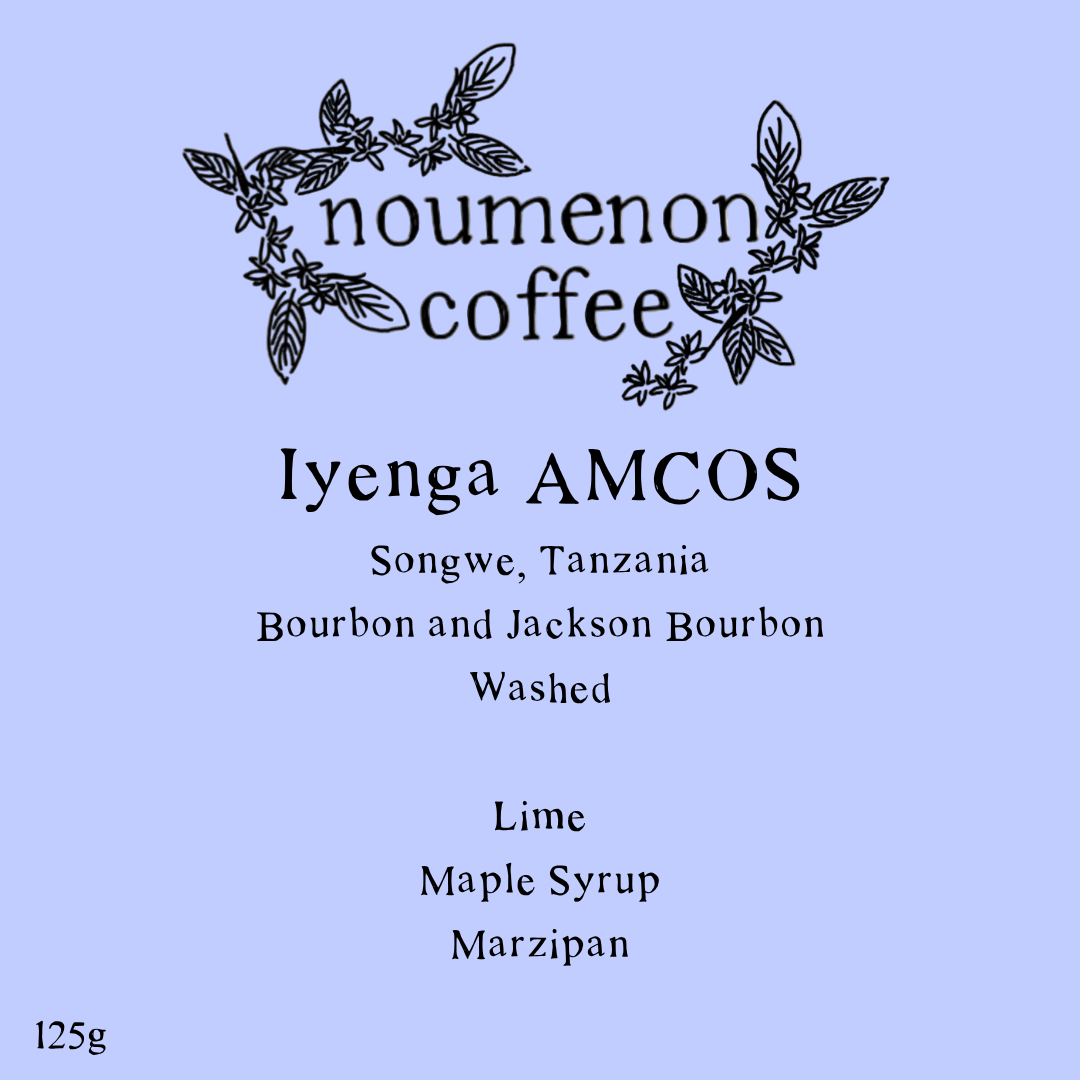 Tanzania - Iyenga AMCOS Bourbon PB - Washed Process